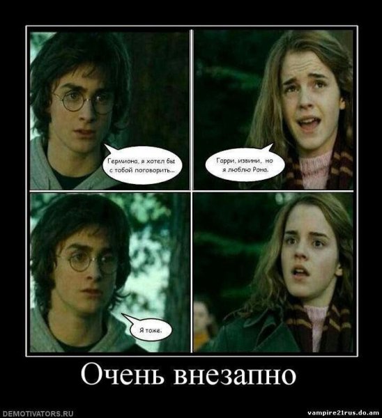 Гарри Поттер и Гермиона приколы