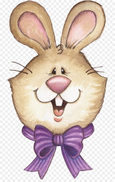 Мордочка зайки