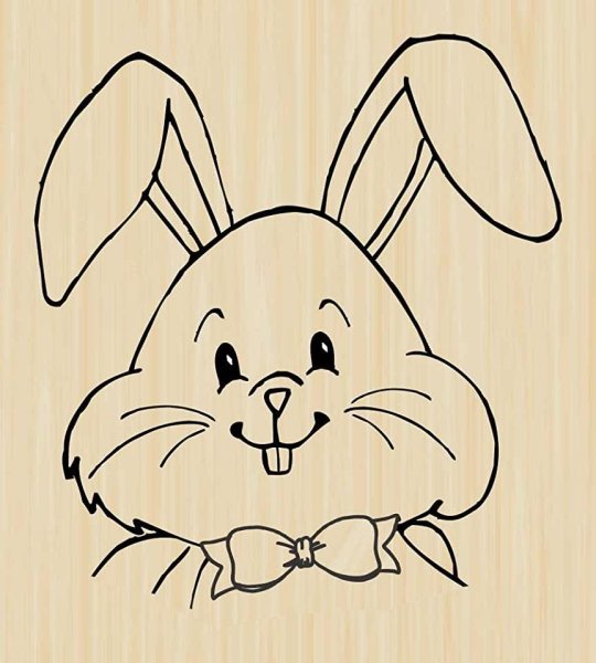 Мордочка зайчика раскраска для детей