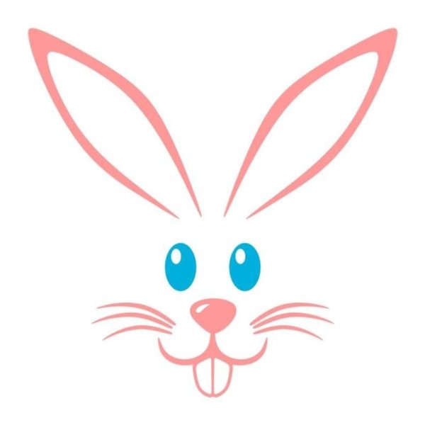 Мордочка зайца