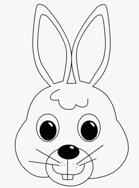 Мордочка зайца