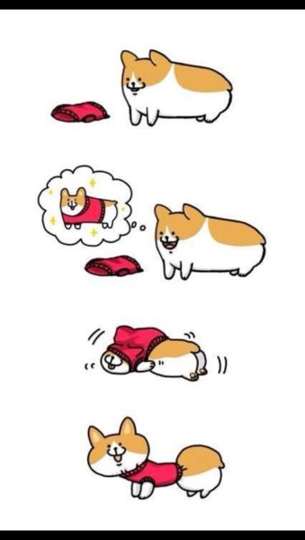 Забавные рисунки корги