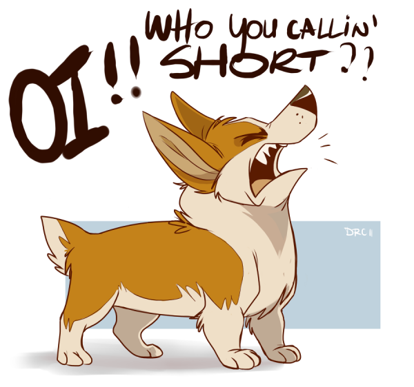 Корги мультяшные