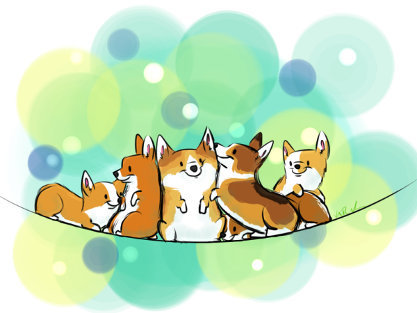 Референс собаки корги