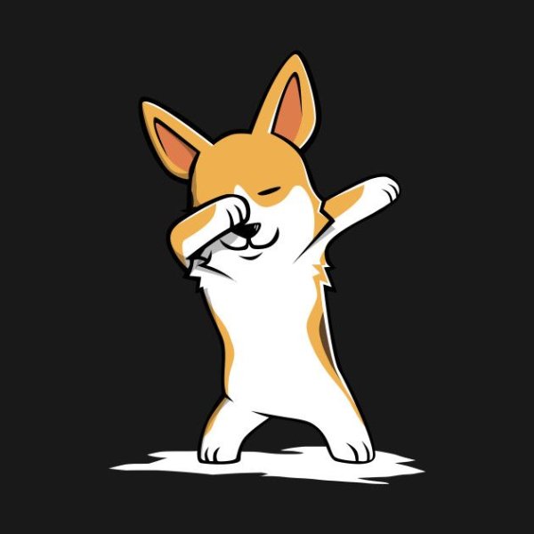 Морда корги спереди