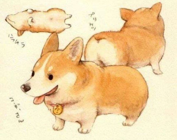 Корги Цербер