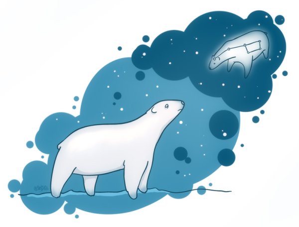 Белая Медведица звезды