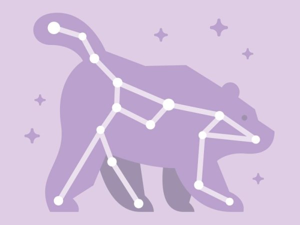 Большая Медведица малая Медведица и Полярная звезда