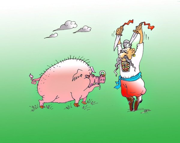 Свинья карикатура