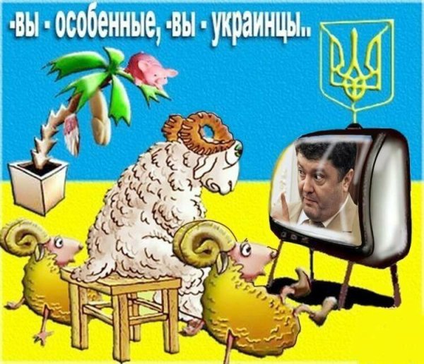 Хохол баран