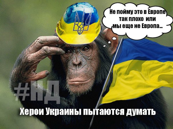 Украинская обезьяна