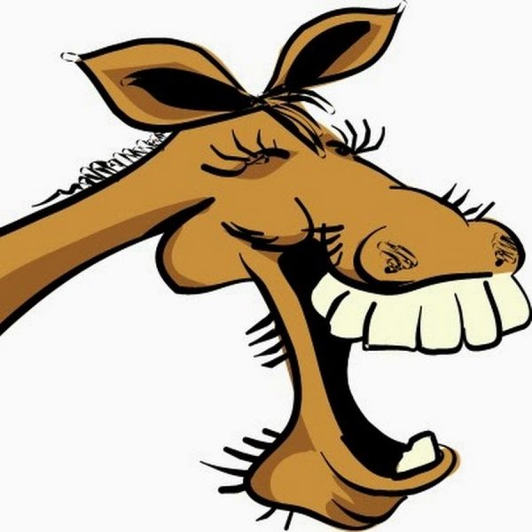 Мультяшный смешной конь голова