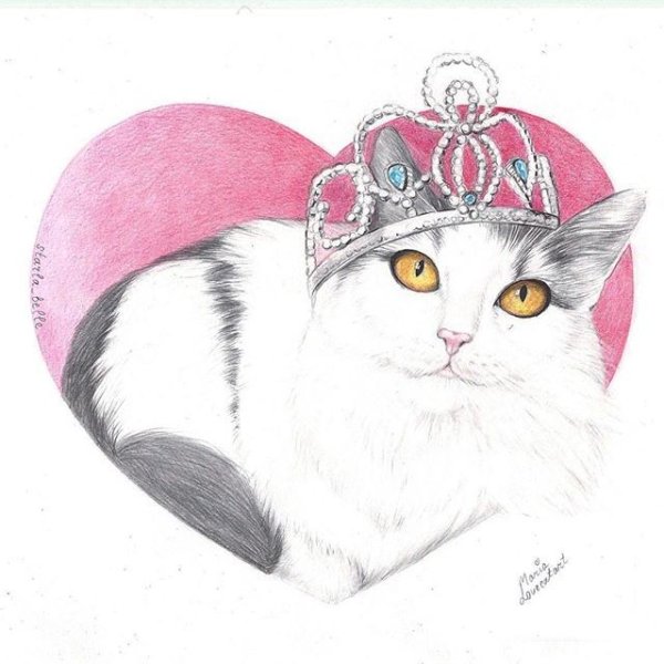 Кошка с короной нарисованная