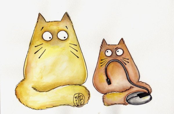 Котики Maria van Bruggen