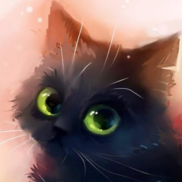 Котики арт света