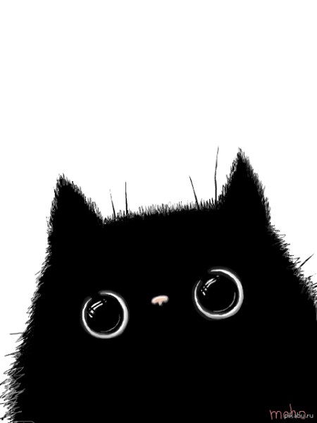 Черный кот выглядывает