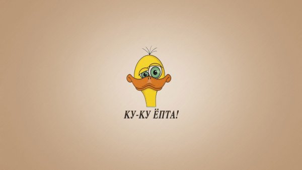 Прикольные обои с надписями