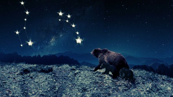 Большая Медведица (Ursa Major)