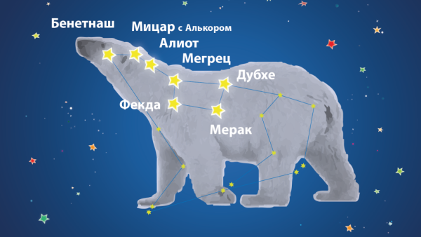 Большая Медведица Созвездие