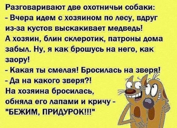 Прикольные шутки
