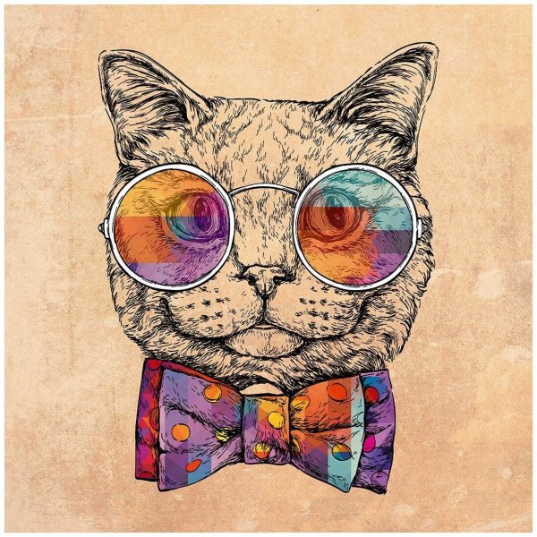 Постер кот в очках