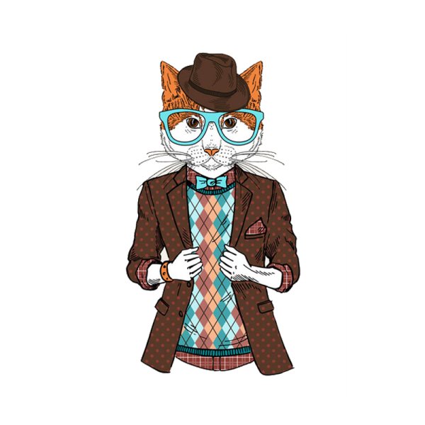 Деловой кот