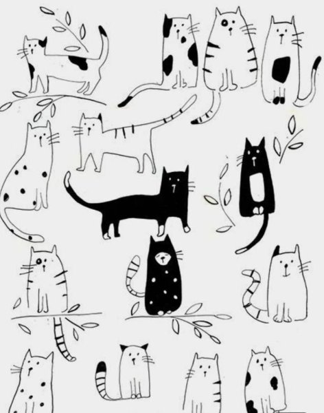 Котик рисунок
