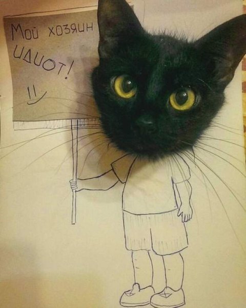 Приколы с надписями