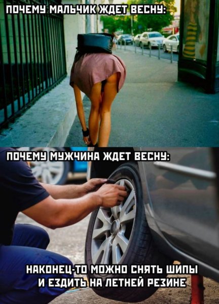 Смешные картинки с надписями