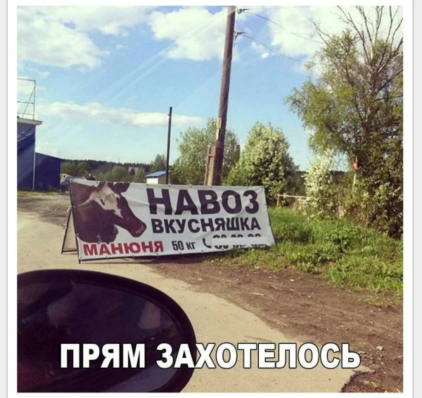 Приколы с надписями