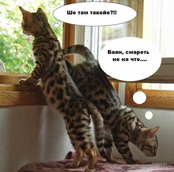 Юлька кастрюлька крышечка