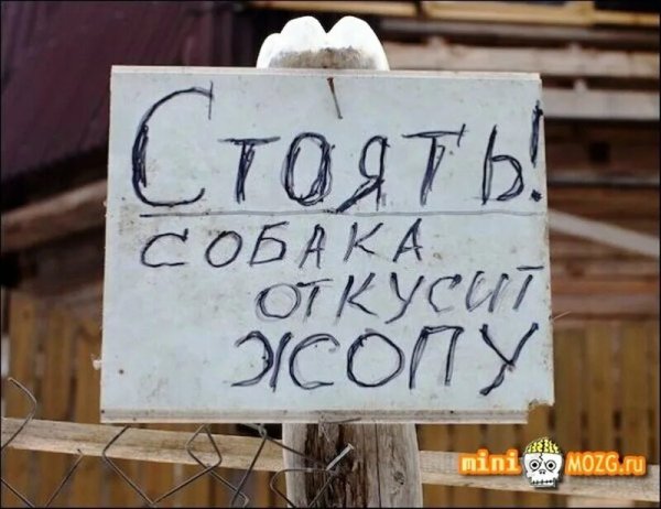 Смешные картинки с надписями