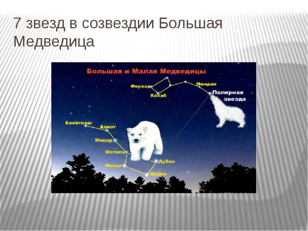 Большая и малая Медведица Полярная звезда