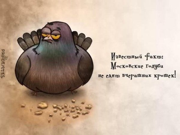 Смешные Рисованные картинки с надписями