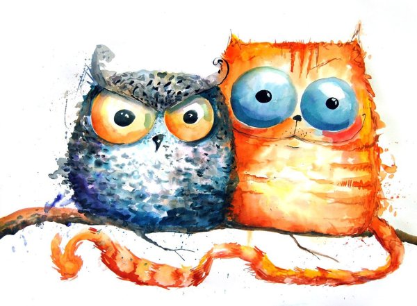 Смешные коты рисунки