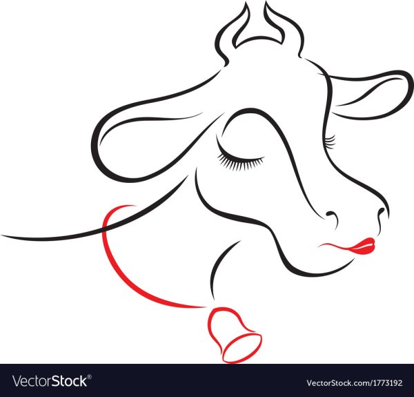 Модная корова рисунок