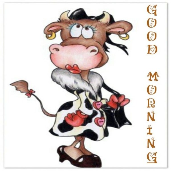 Смешные коровы