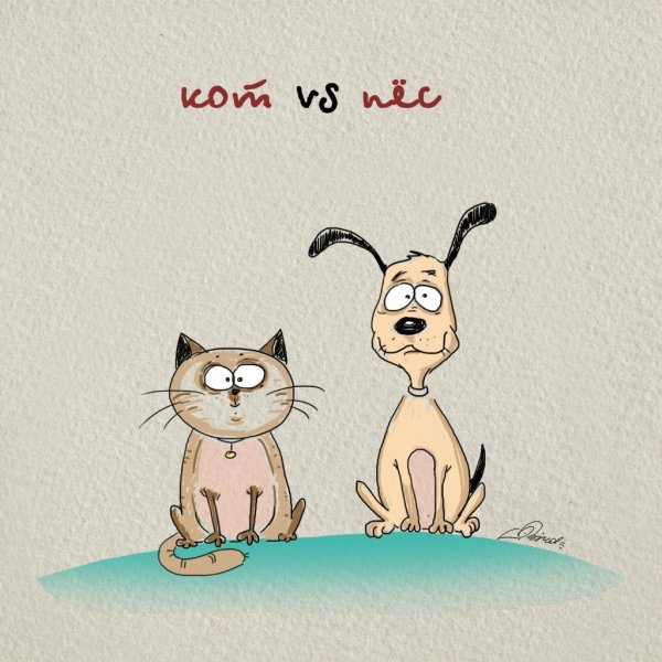 Кошка vs собака