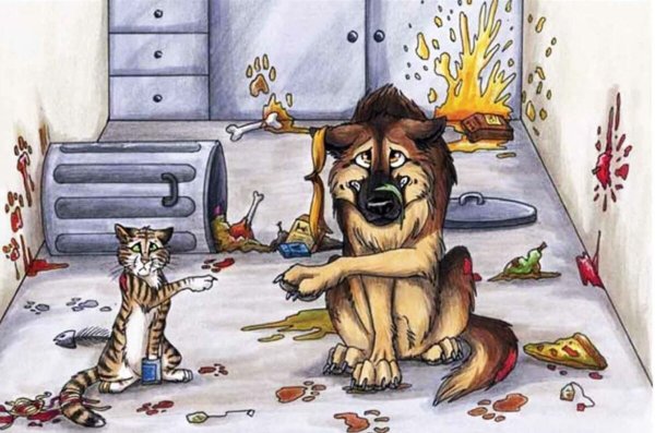 Смешные рисунки