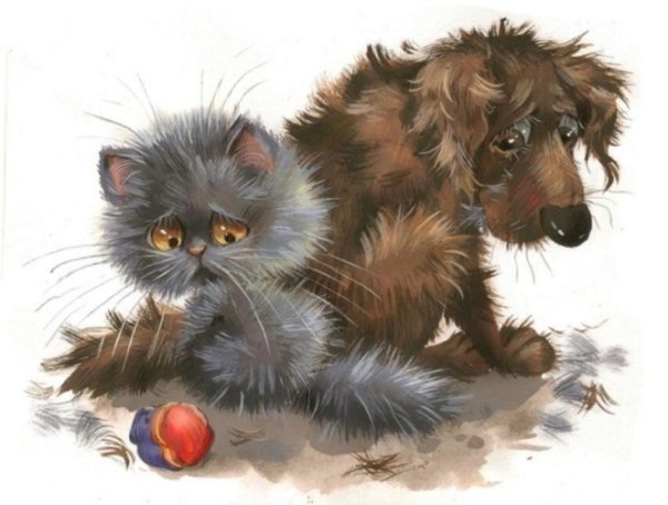 Животные ищут дом