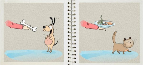 Карикатуры кошек и собак