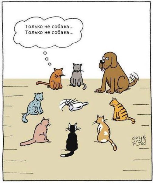 Карикатуры кошек и собак