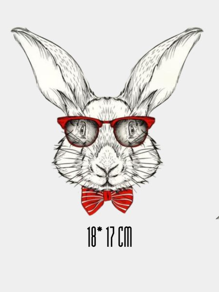 Постер заяц в очках