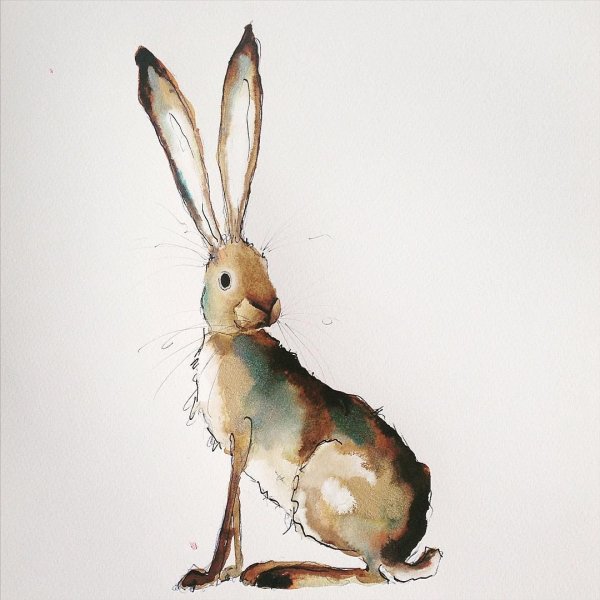 Акварельный заяц