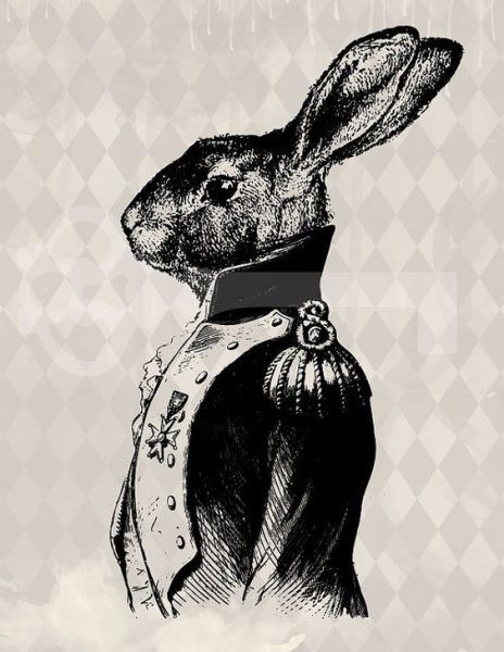 Кролик в графическом стиле