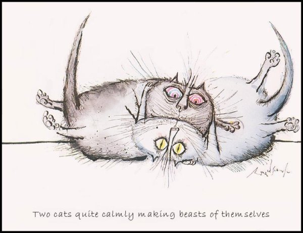 Прикольные рисунки котов и кошек