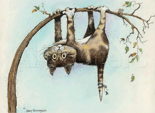 Кот висит на ветке