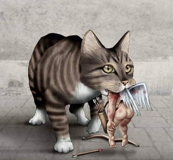 Сумасшедший кот арт