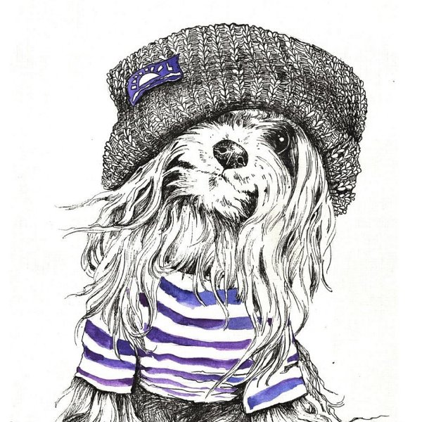 Прикольные собачки рисунки