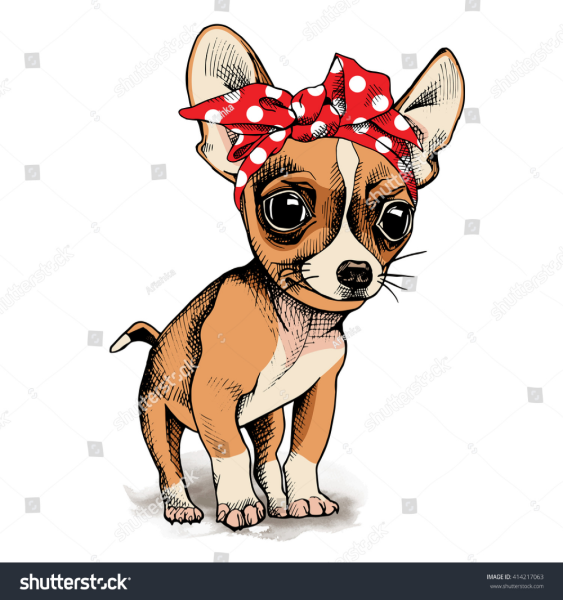 Чихуахуа в бандане